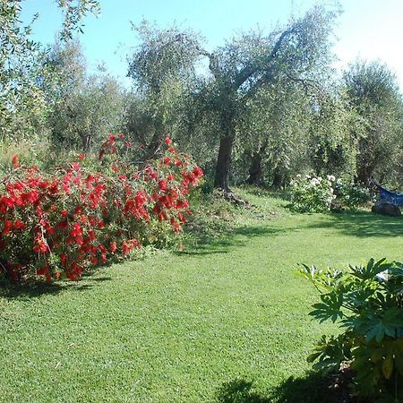 Bed and Breakfast Il Pino Vetulonia Экстерьер фото